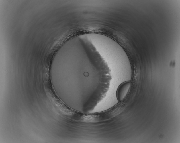 X0000114700461200911121544