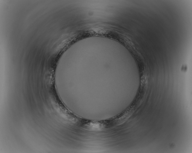 X0000114700464200911121544