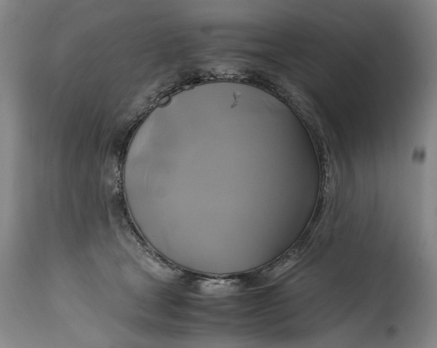 X0000114700465200911121544