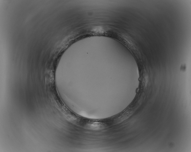 X0000114700467200911121544