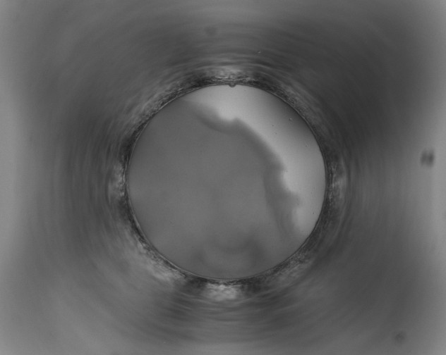 X0000114700469200911121544