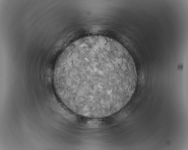 X0000114700470200911121544