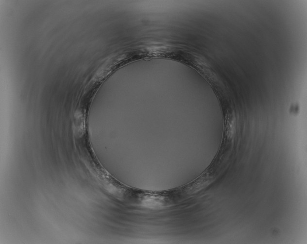 X0000114700471200911121544