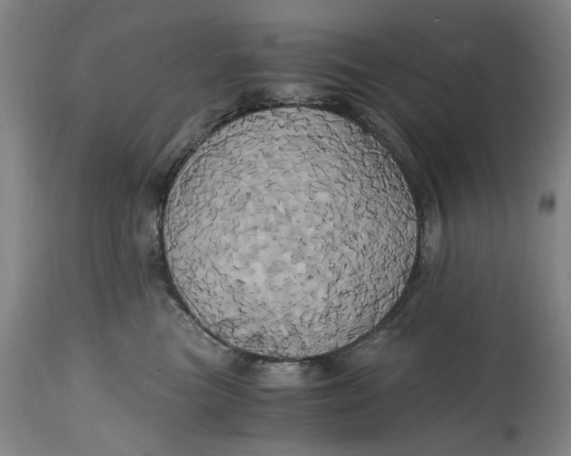 X0000114700473200911121544