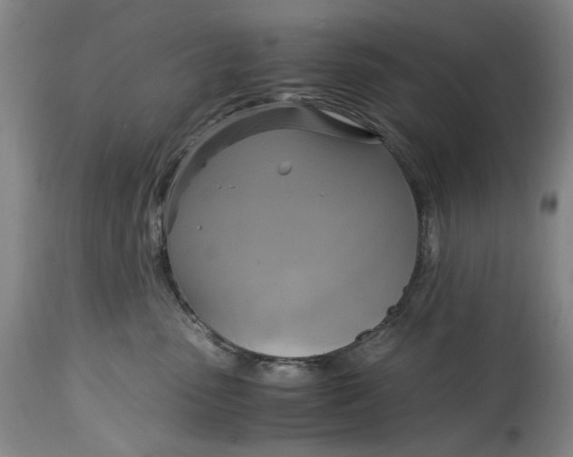 X0000114700475200911121544