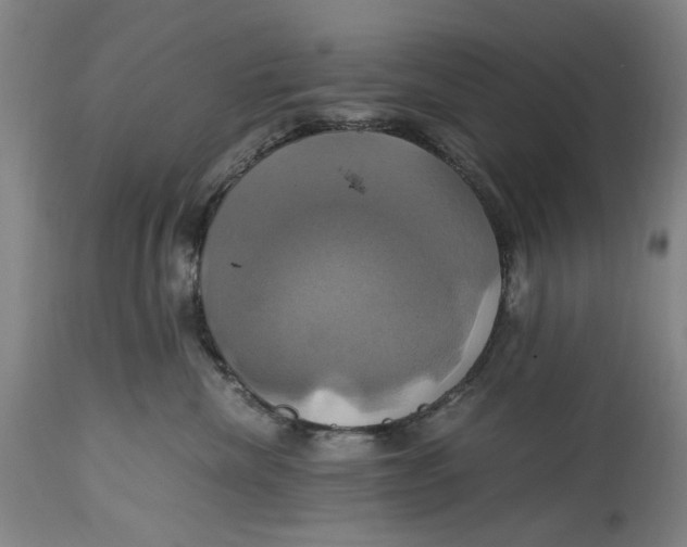 X0000114700476200911121544