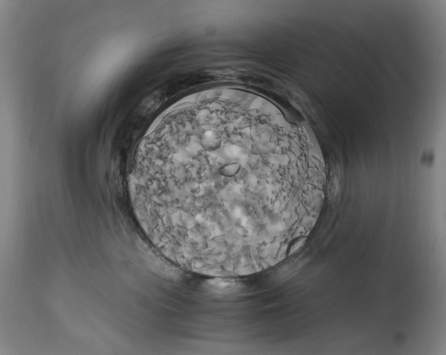 X0000114700477200911121544