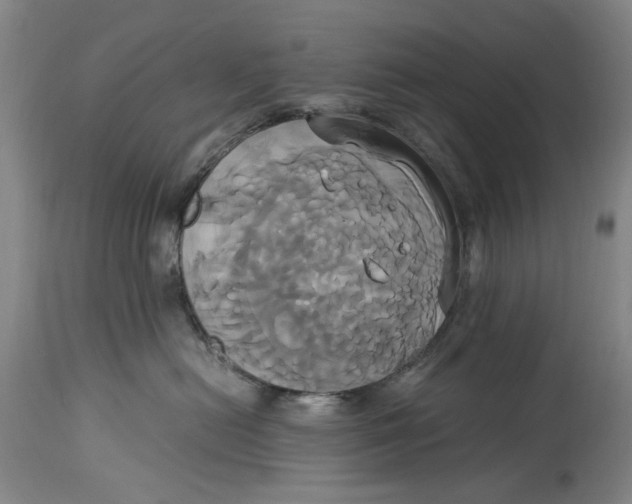 X0000114700478200911121544