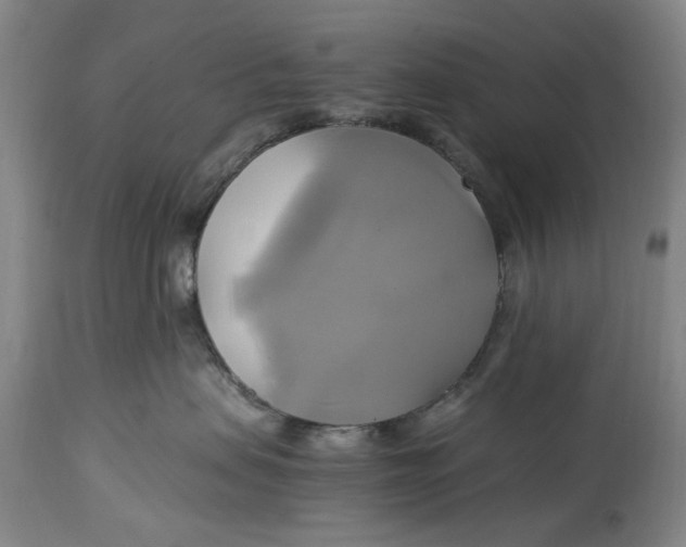 X0000114700479200911121544