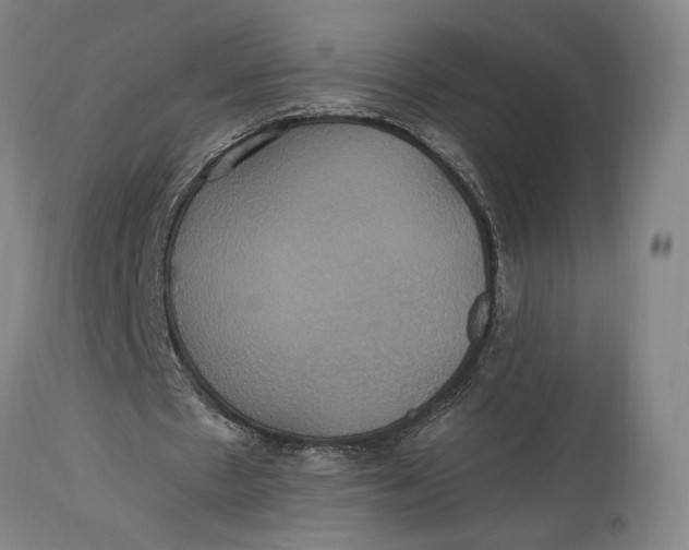 X0000114700481200911121543