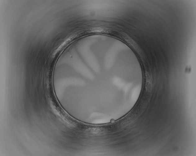 X0000114700482200911121543