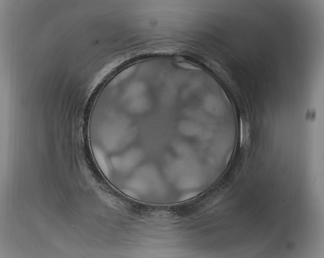 X0000114700483200911121543