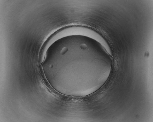 X0000114700484200911121543