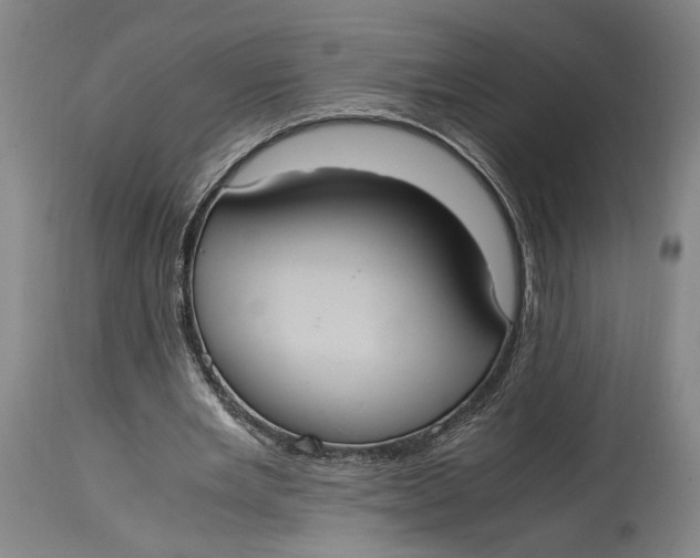 X0000114700485200911121543