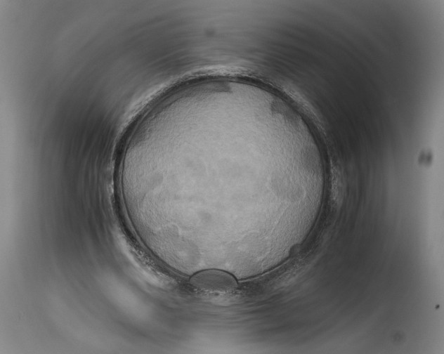 X0000114700486200911121543