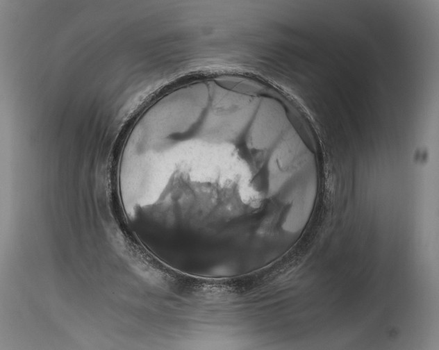 X0000114700487200911121543