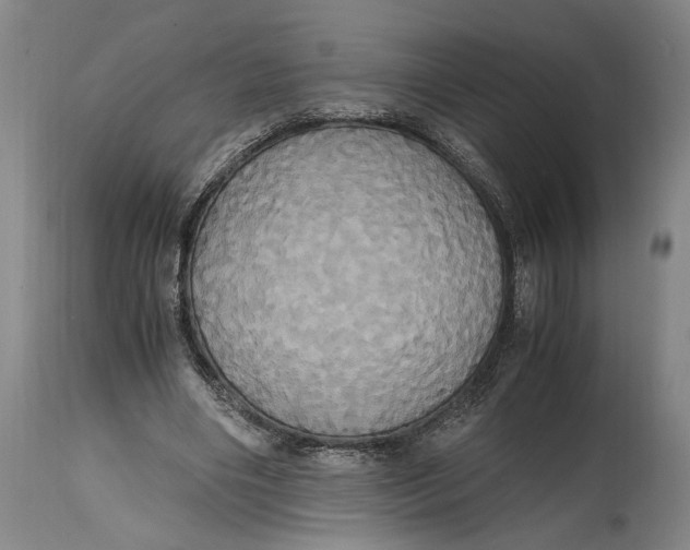 X0000114700490200911121543