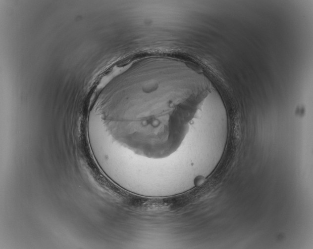 X0000114700491200911121543