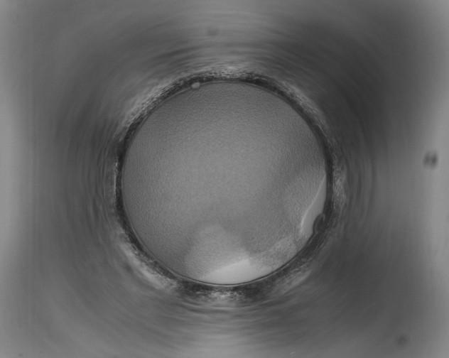 X0000114700493200911121543