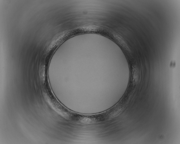 X0000114700494200911121543