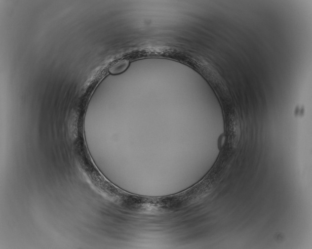 X0000114700496200911121543