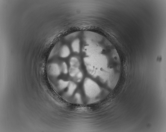 X0000114700499200911121543