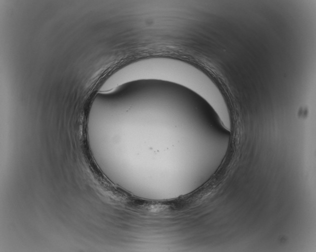 X0000114700501200911121543