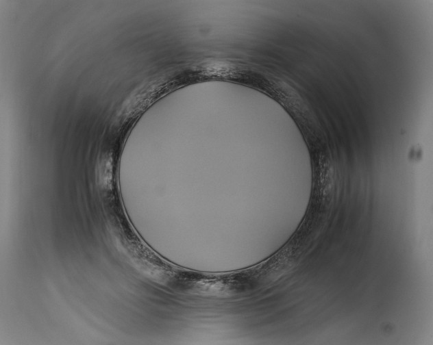 X0000114700502200911121543