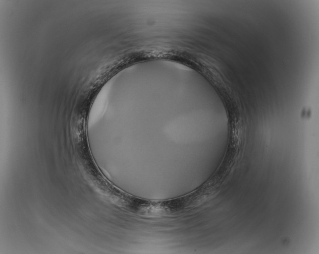 X0000114700503200911121543