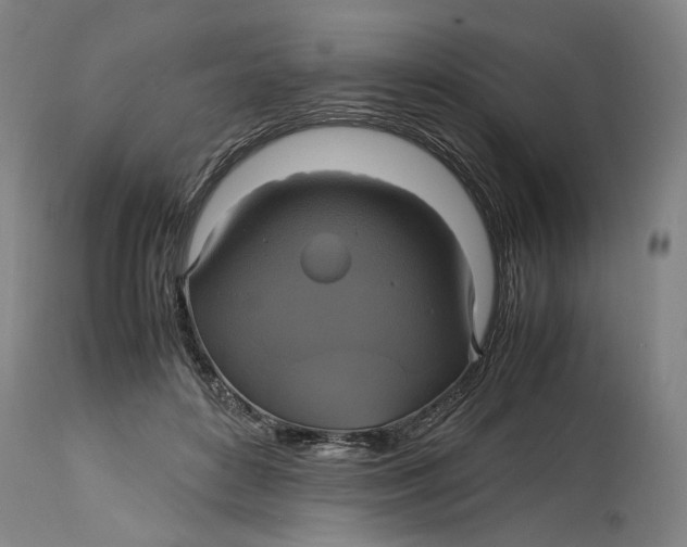 X0000114700504200911121543