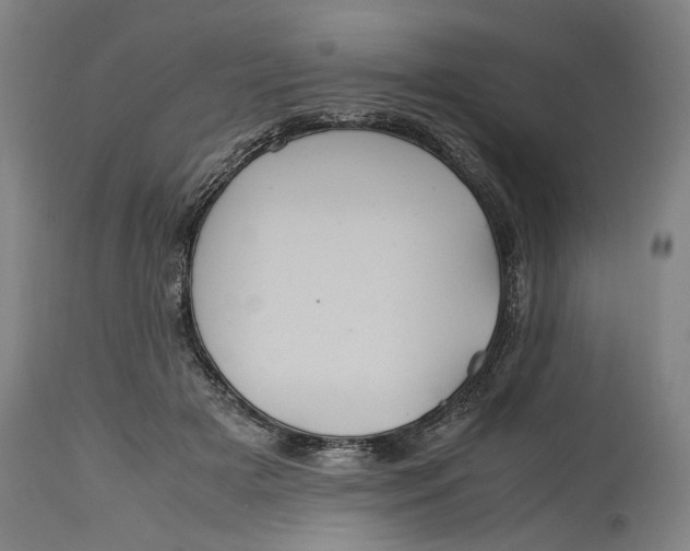 X0000114700505200911121543