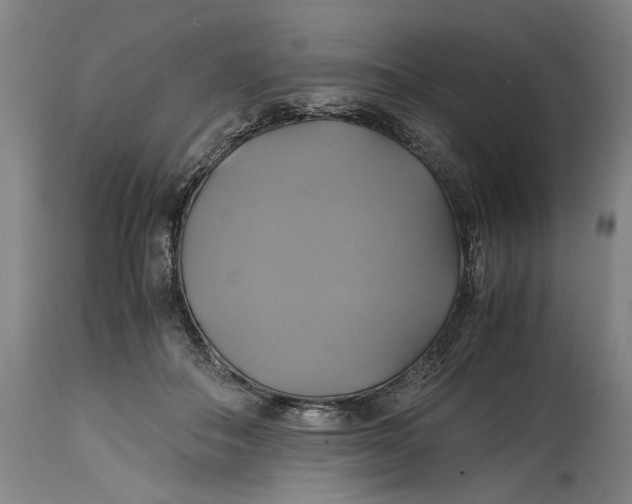 X0000114700506200911121543