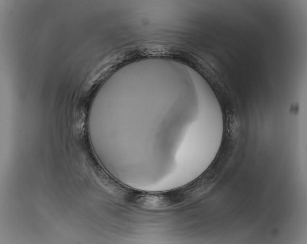 X0000114700507200911121543