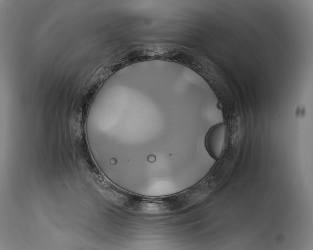 X0000114700510200911121543