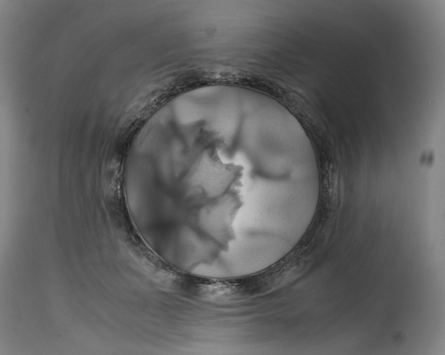 X0000114700511200911121543