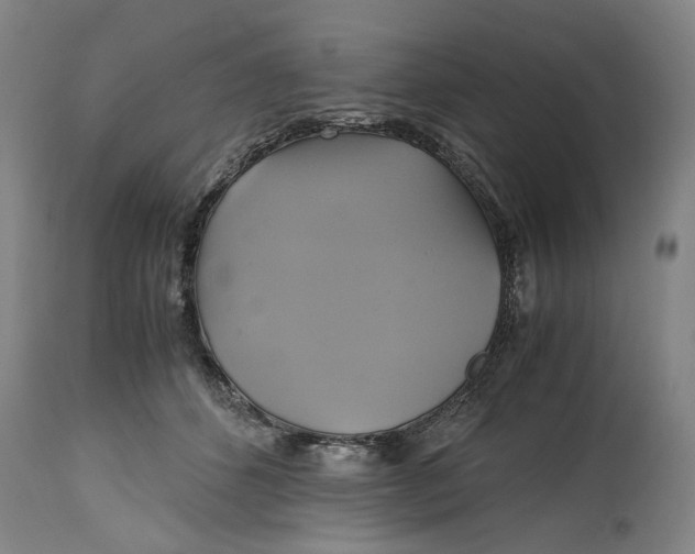 X0000114700512200911121543