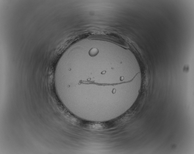 X0000114700513200911121543