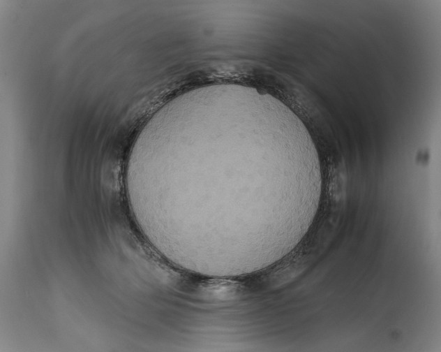 X0000114700514200911121543