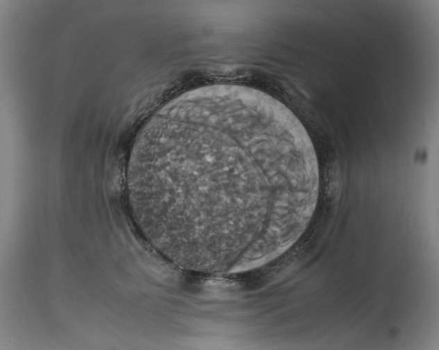 X0000114700515200911121543