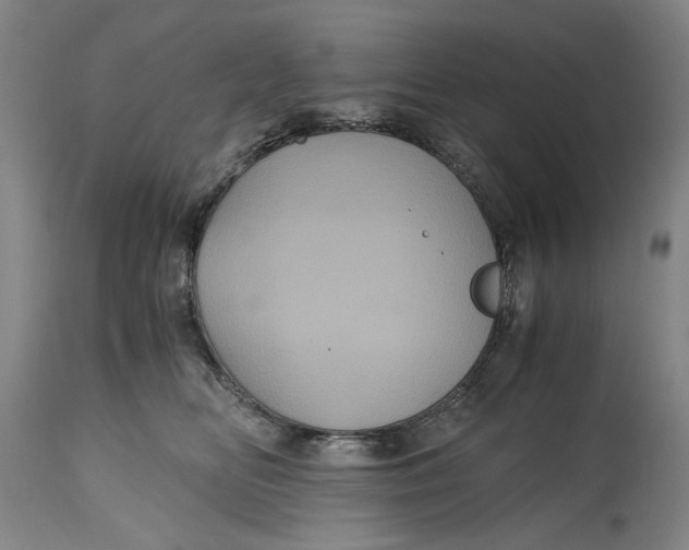 X0000114700518200911121543