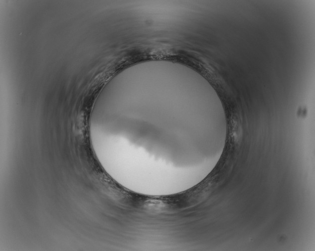 X0000114700519200911121543