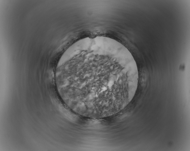 X0000114700523200911121543