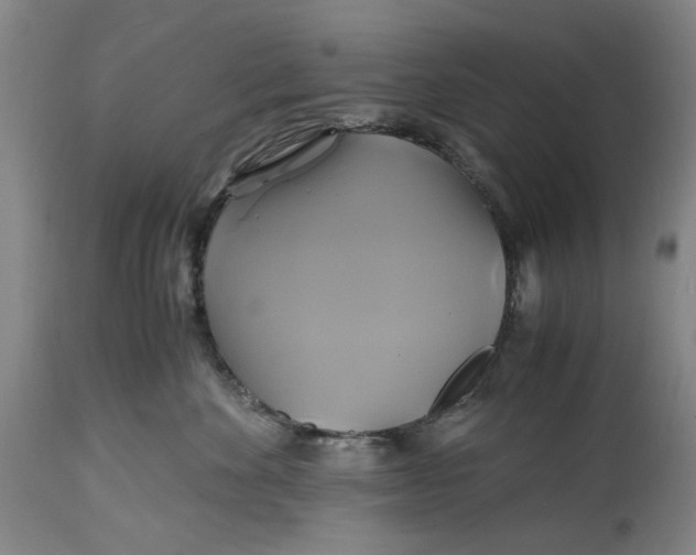 X0000114700524200911121543