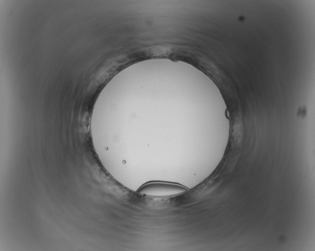 X0000114700525200911121543