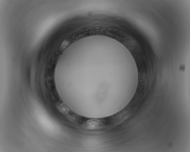 X0000114700526200911121543