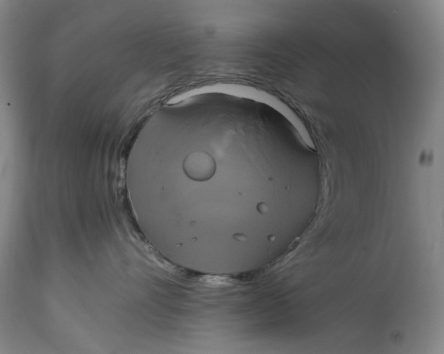 X0000114700528200911121543