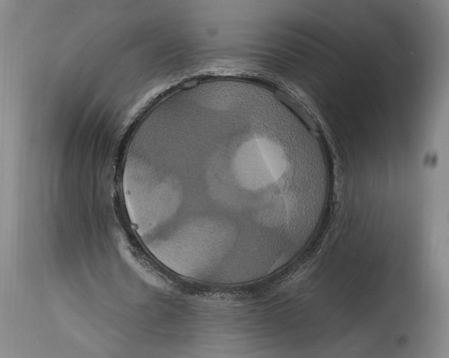 X0000114700530200911121542