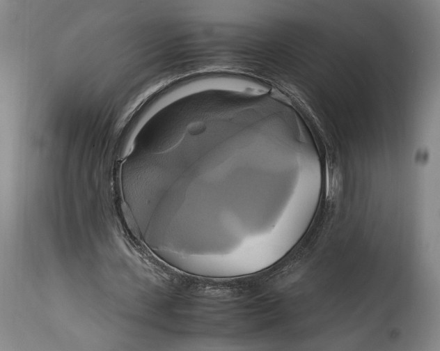 X0000114700531200911121542