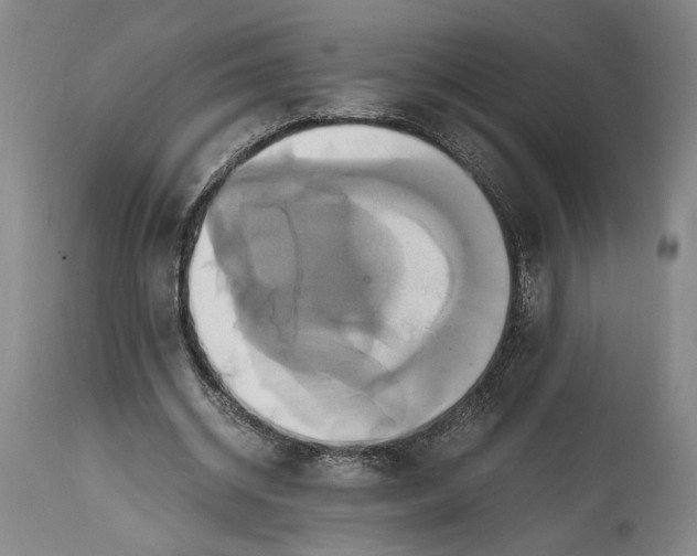 X0000114700534200911121542