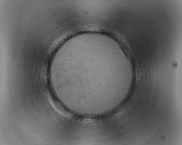 X0000114700538200911121542